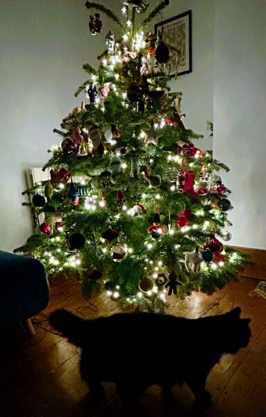 Have we had a Christmas tree thread this year?