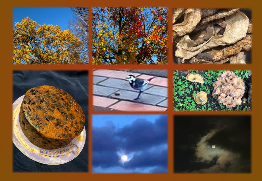 Year round Nigel Slater discussion thread - Part 3