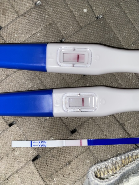 TWW feels like forever