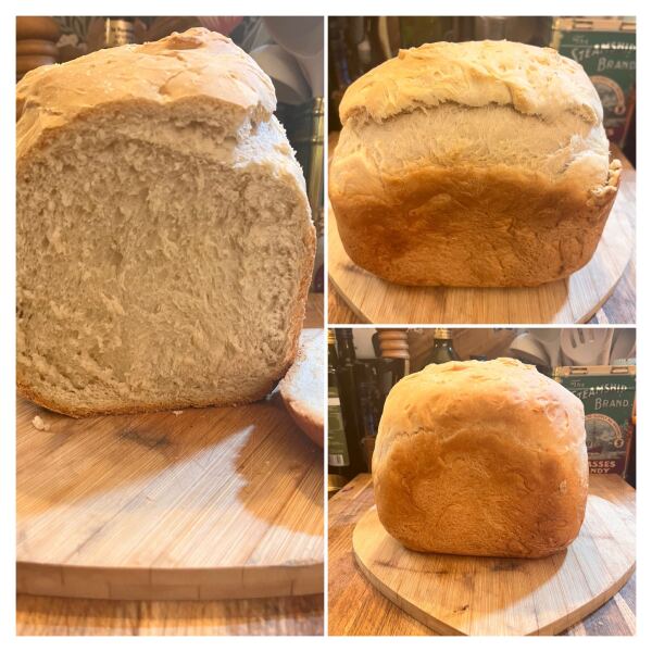 I want a Panasonic bread maker. Tell me your pros and cons