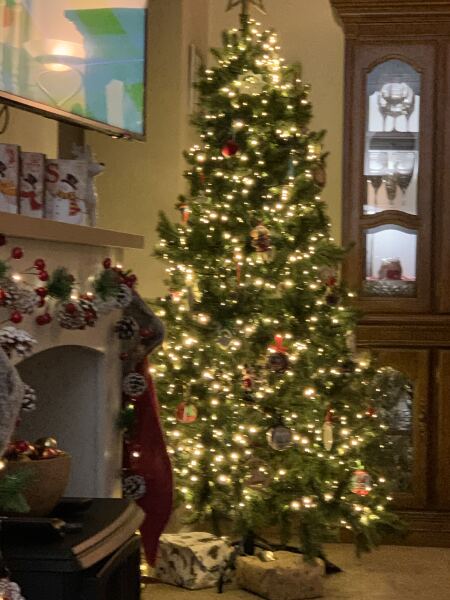 Or do fake trees always  look crap?
