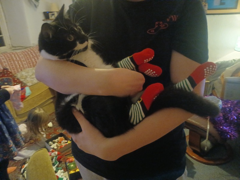 Support thread for anyone trying to lead an Alcohol free life - Winter 25