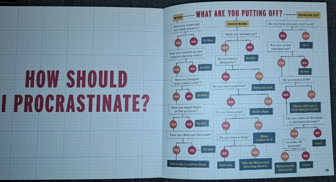 The Bluestocking Boxing Day sale: 1 gerbil for the price of 2