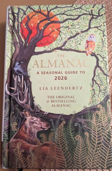 The Nigel Slater Christmas Chronicles readalong 2025 - Part 2