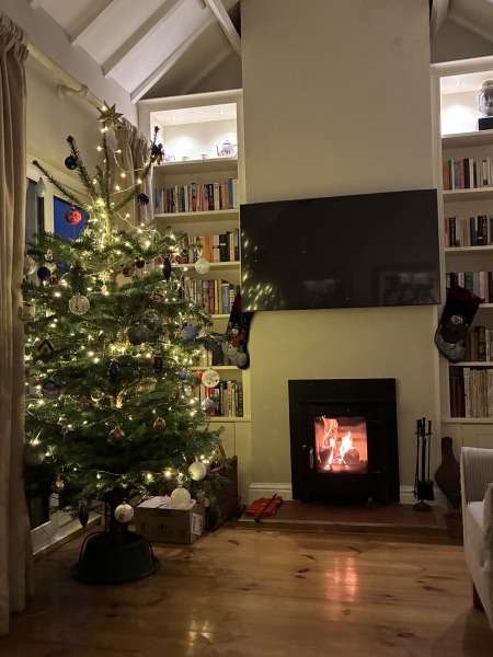 Have we had a Christmas tree thread this year?