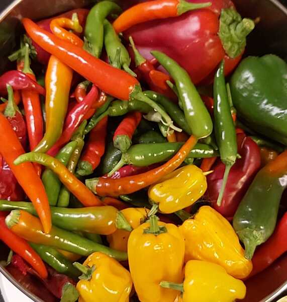 The Nigel Slater Christmas Chronicles Readalong 2025 - Part 3