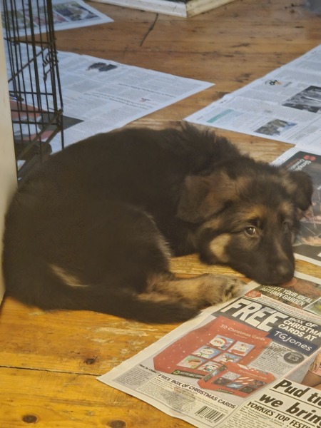 🎄 2025 Style and Beauty Advent Calendar Discussion ***SPOILERS*** THREAD 10