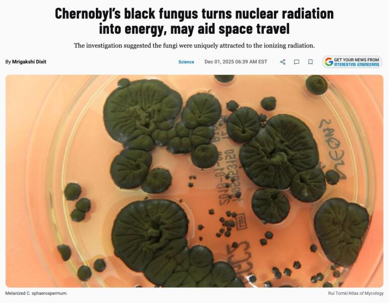 Ukraine Invasion: Part 59