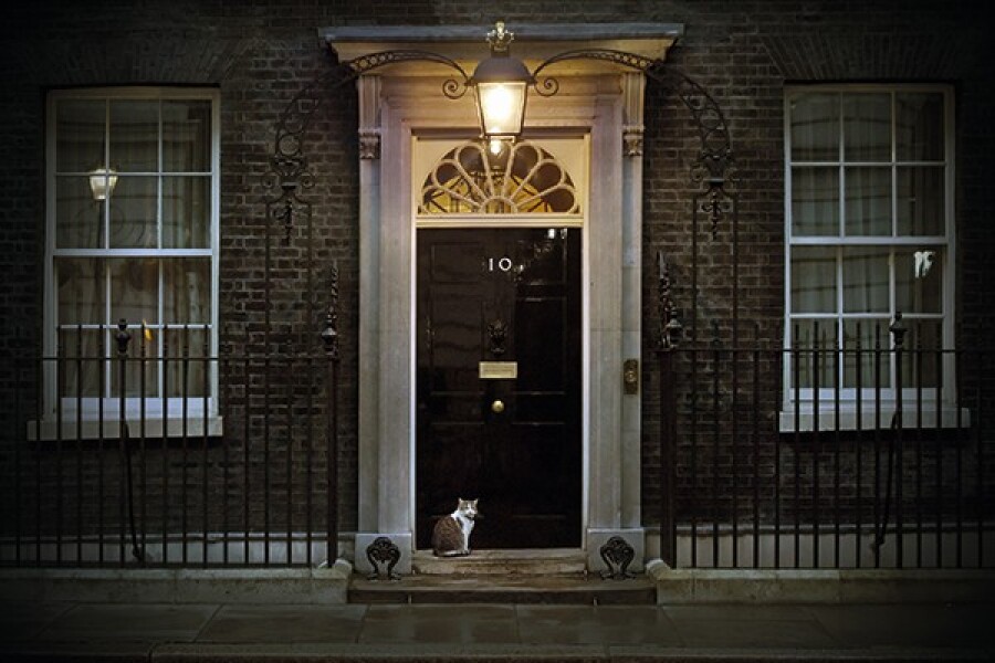 To find it hard to adjust to this kind of home?