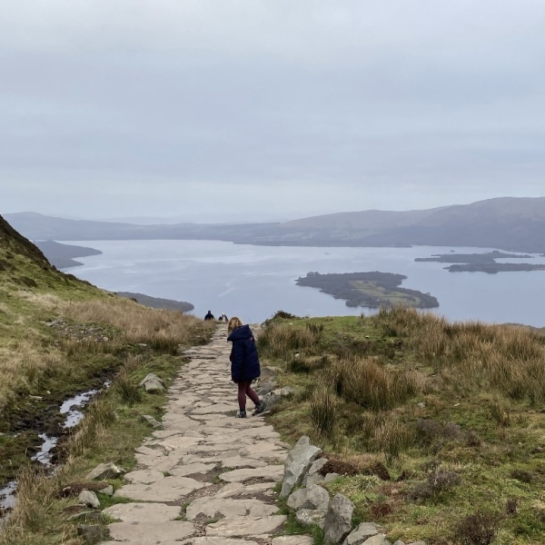 Daily Project round 8