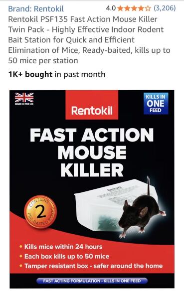 We found a mouse just before Christmas