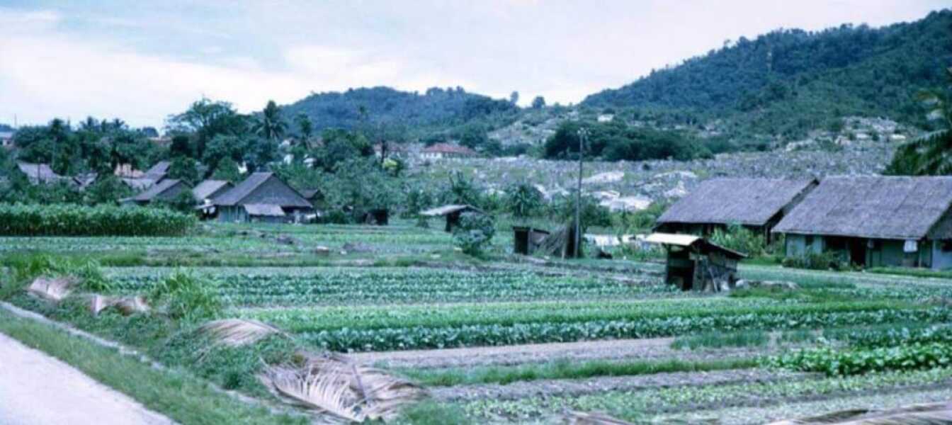 Thread 19 - TalkLair: "The light that burns twice as bright burns half as long"