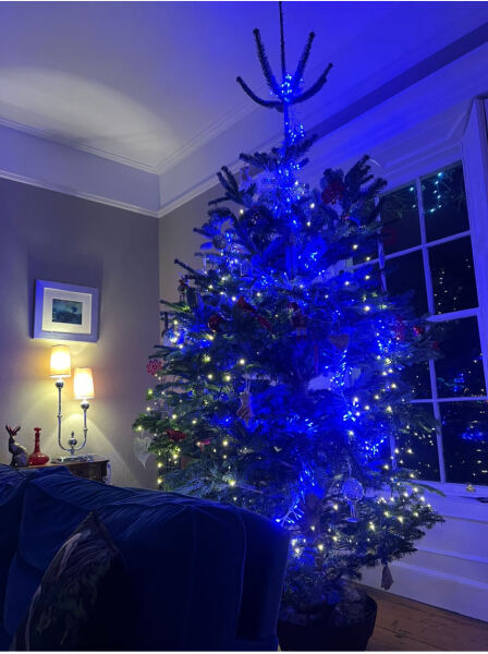 Share your Christmas Tree 🎄