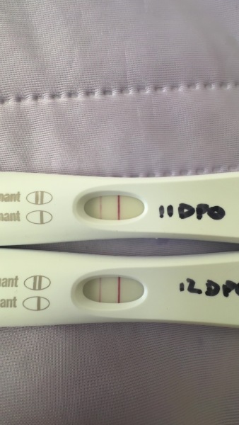 12dpo test looks lighter than 11dpo
