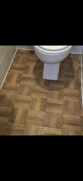 Downstairs loo decor help