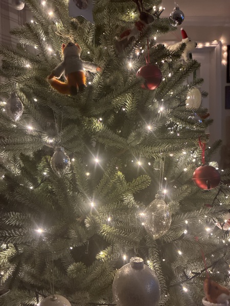 Or do fake trees always  look crap?