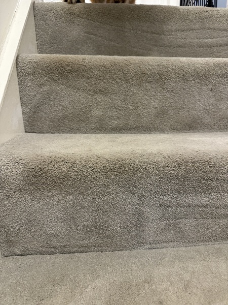 Did I get ripped off - cleaners