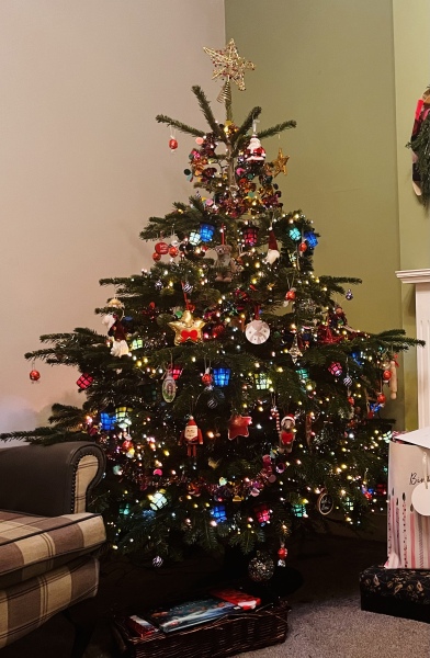 Share your Christmas Tree 🎄