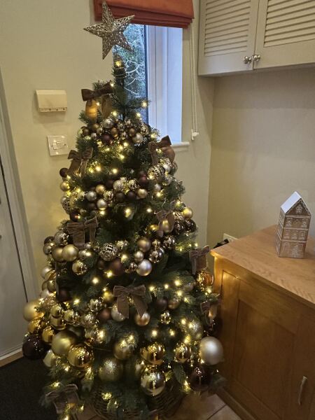 Have we had a Christmas tree thread this year?