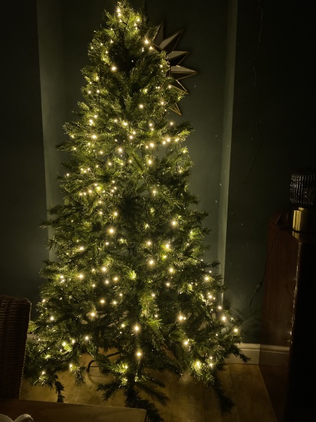 Or do fake trees always  look crap?