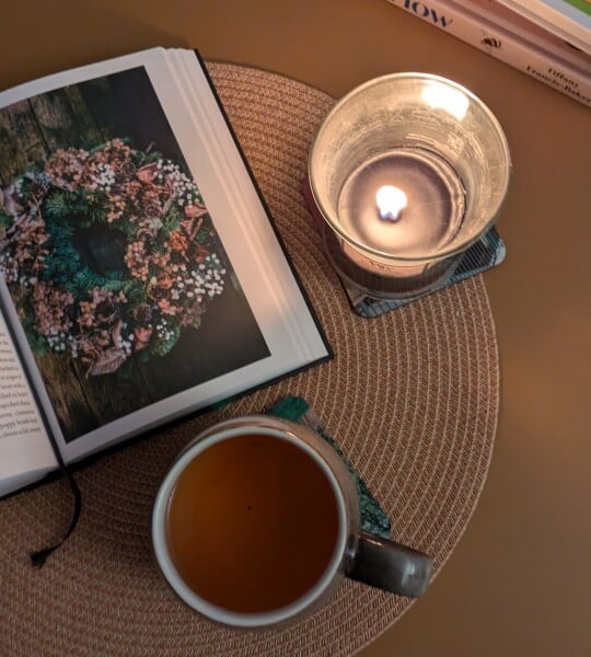 The Nigel Slater Christmas Chronicles Readalong 2025 - Part 3