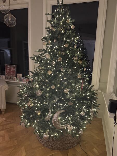 Or do fake trees always  look crap?