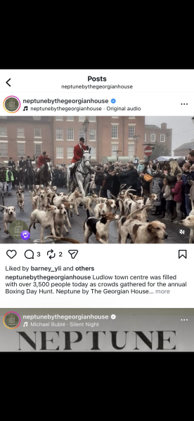 Aibu to cancel order from fox hunting supporting company?
