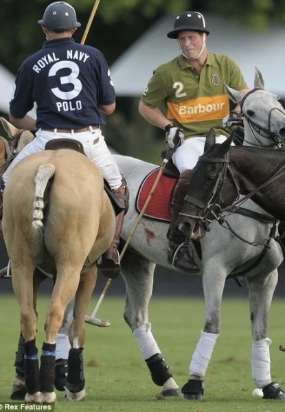 RF, William, Kate and cruelty to animals