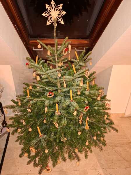 Have we had a Christmas tree thread this year?