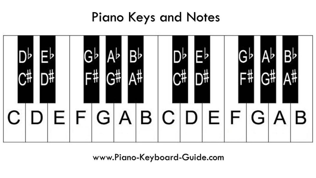 What are the notes order on a keyboard
