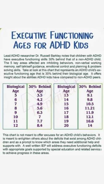 12 (almost 13 yr old) just seems to switch off brain permanently.