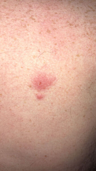 Any one know what this is?