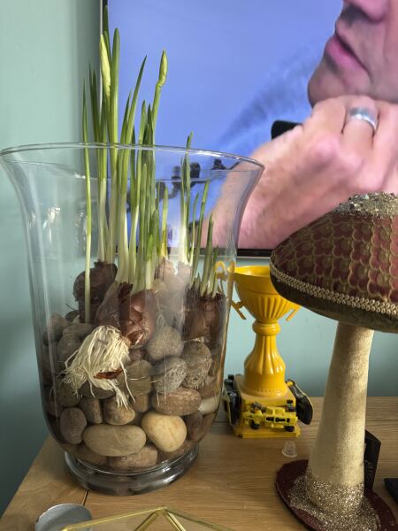 Poncetastic Christmas 2025