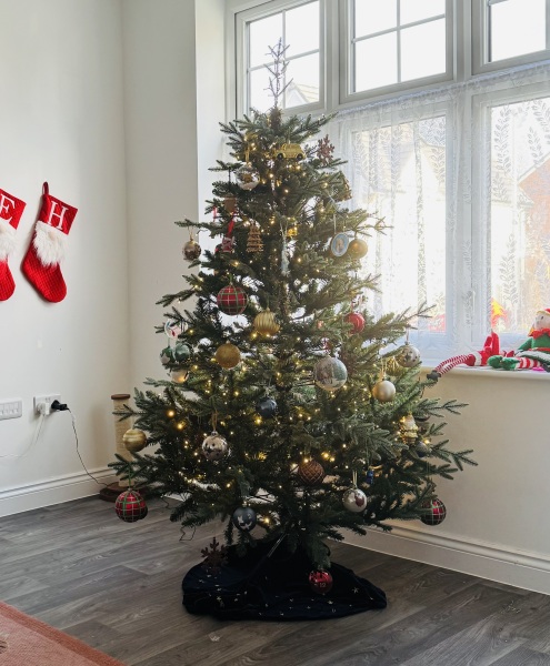 Share your Christmas Tree 🎄