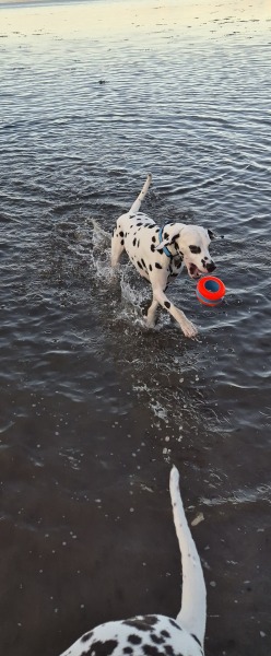 What are you up to today if you have chronic illness? Thread 4