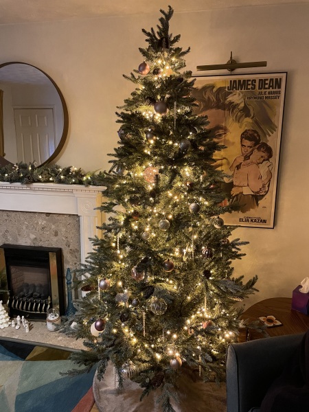 Share your Christmas Tree 🎄
