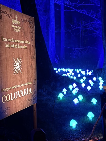 Come and tell us your dull and unexciting news 34: Calmly through the day