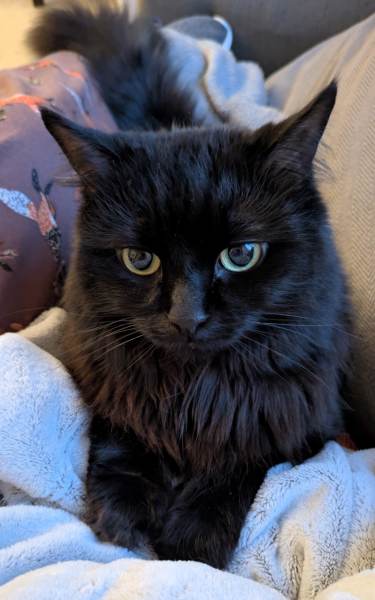 The Nigel Slater Christmas Chronicles Readalong 2025 - Part 3