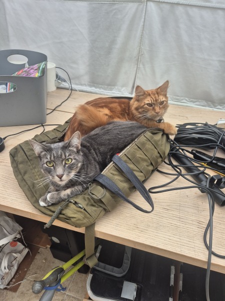 Moving from sachets to tinned food