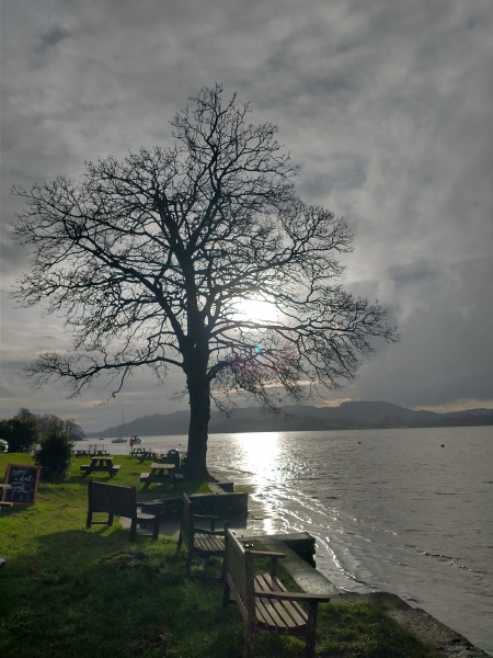 What are you up to today if you have chronic illness? Thread 3