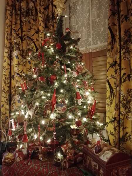 Share your Christmas Tree 🎄