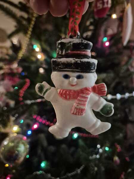 Show your best worst tree ornament