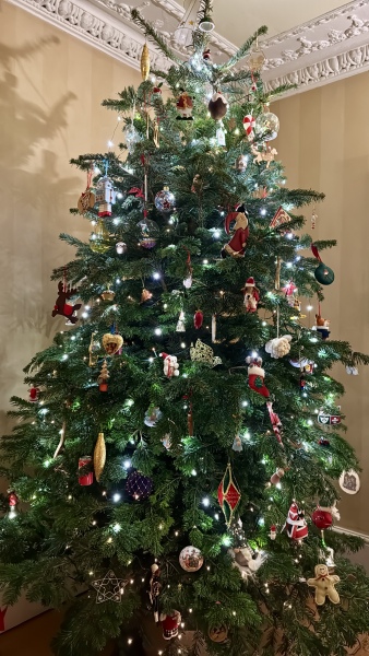 Share your Christmas Tree 🎄