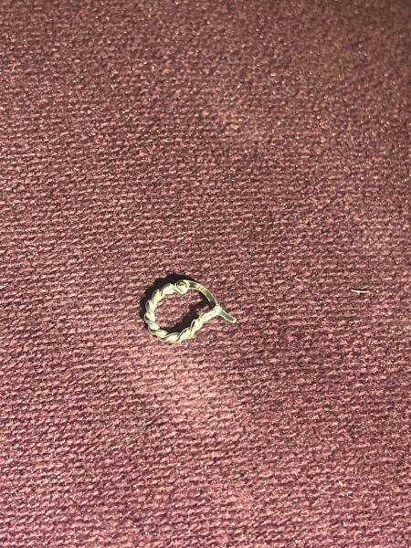 Where is my earring?