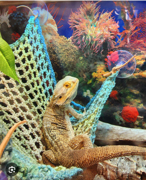 Gift for young adult man with zero likes or interests