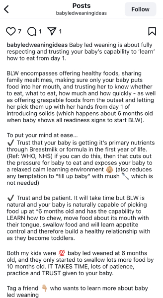 If you didn’t do BLW, what do meals for your one year old (15/16 months) look like?