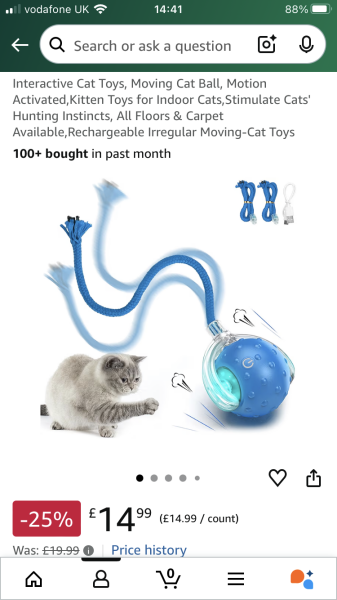 Has anyone discovered a really good cat toy?