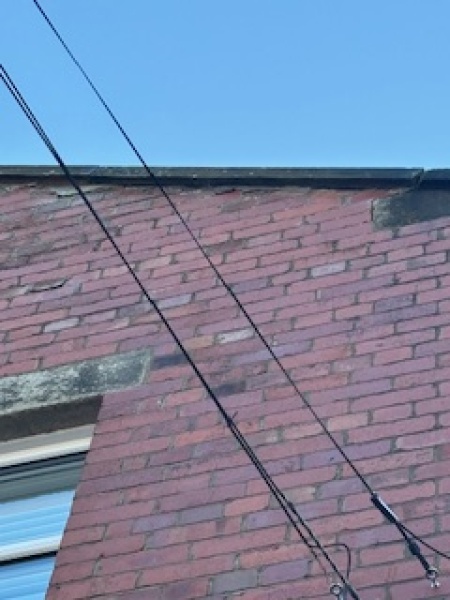 How can I get the right advice and solution re damp and mould?