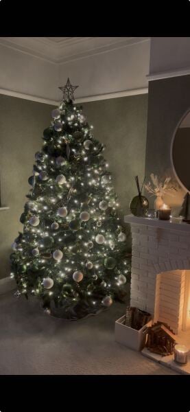 Have we had a Christmas tree thread this year?