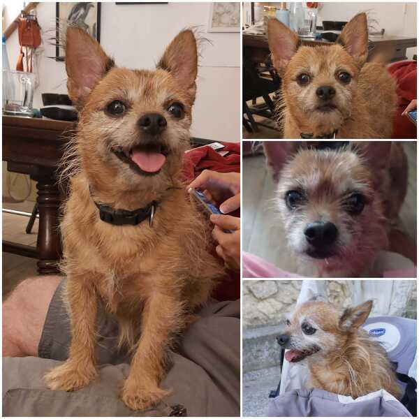 The Nigel Slater Christmas Chronicles readalong 2025 - Part 2